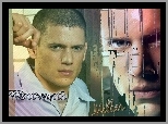 Wentworth Miller, krótkie włosy